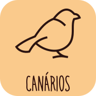 Indicado para Canrios