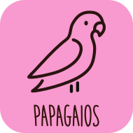 Indicado para Papagaios
