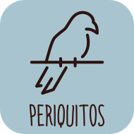 Indicado para Periquitos