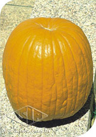 Imagem Produto 1