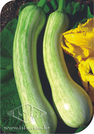 Imagem Produto 3