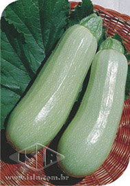 Imagem Produto 6