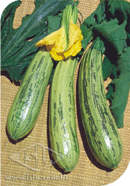 Imagem Produto 7
