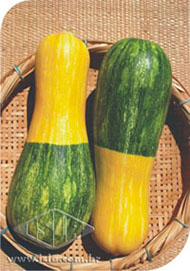 Imagem Produto 9