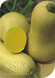 Imagem Produto 12