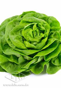 Imagem Produto 45