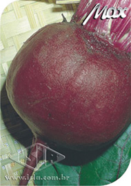 Imagem Produto 70
