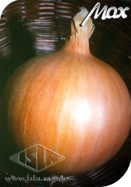 Imagem Produto 87