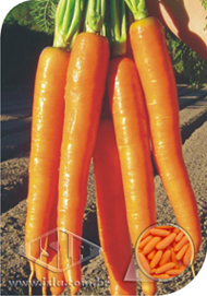 Imagem Produto 89