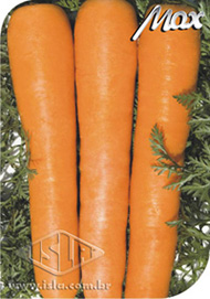 Imagem Produto 91