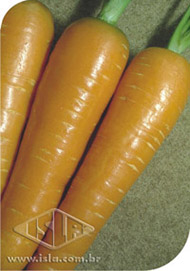Imagem Produto 111