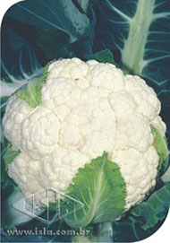 Imagem Produto 116