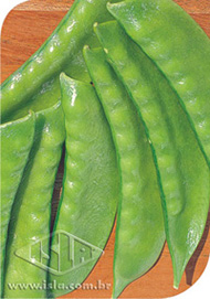 Imagem Produto 135