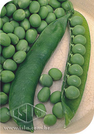 Imagem Produto 136