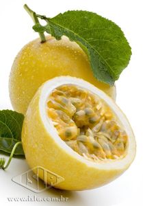 Imagem Produto 159