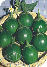 Imagem Produto 161