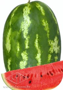 Imagem Produto 165