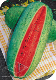 Imagem Produto 167