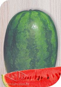 Imagem Produto 168