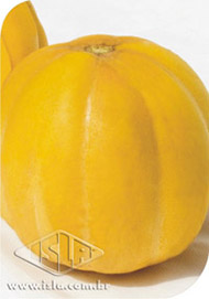Imagem Produto 182