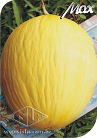 Imagem Produto 183