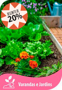 Imagem Produto 1855