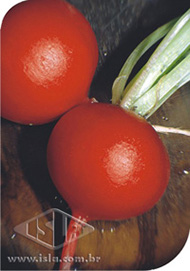 Imagem Produto 220
