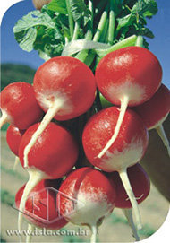 Imagem Produto 222