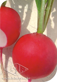 Imagem Produto 229