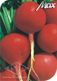 Imagem Produto 230