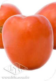 Imagem Produto 260