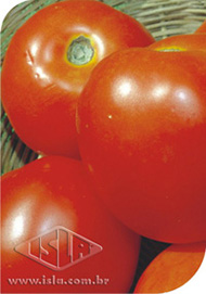 Imagem Produto 263