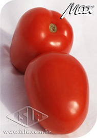 Imagem Produto 276
