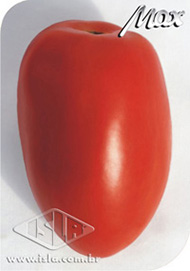 Imagem Produto 290