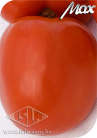 Imagem Produto 298