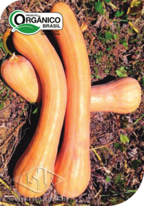 Imagem Produto 524