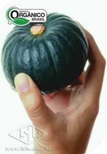 Imagem Produto 530