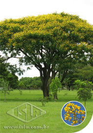 Imagem Produto 732