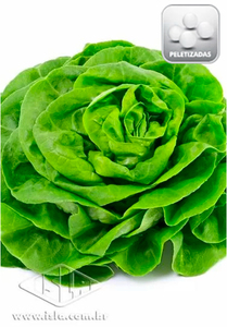 Imagem Produto 8045