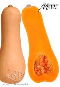 Imagem Produto 851