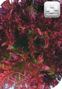 Imagem Produto 8928