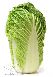 Imagem Produto 934