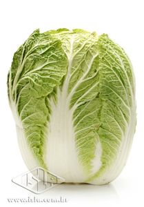 Imagem Produto 935