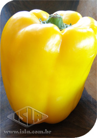 Imagem Produto 956
