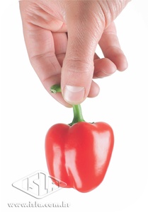 Imagem Produto 957