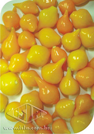 Imagem Produto 968