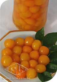 Imagem Produto 971
