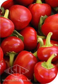 Imagem Produto 972