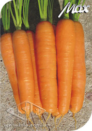 Imagem Produto 988